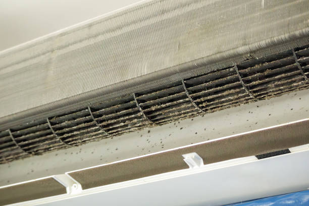 Best Professional Duct Cleaning Services  in Blakely, GA